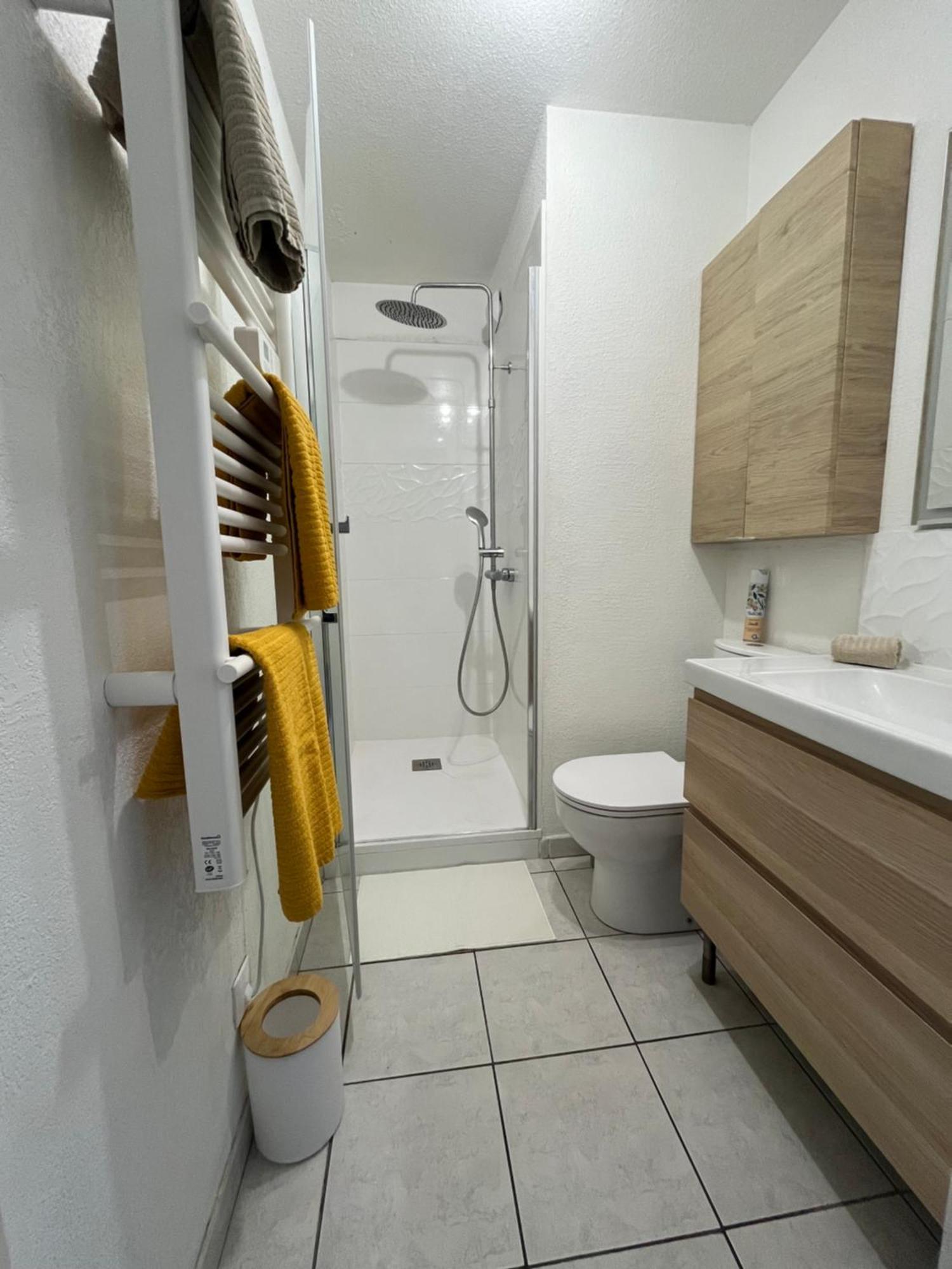 Joli T2/ Tram/ Clim/ Parking/ Wifi/ Piscine Apartment มงต์เปอลิเยร์ ภายนอก รูปภาพ